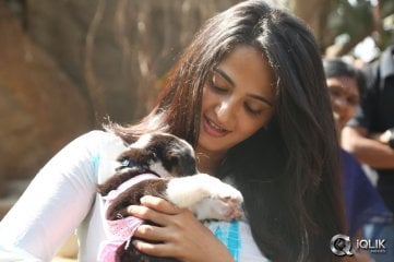 Anushka at Blue Cross Pet Carnival 2014